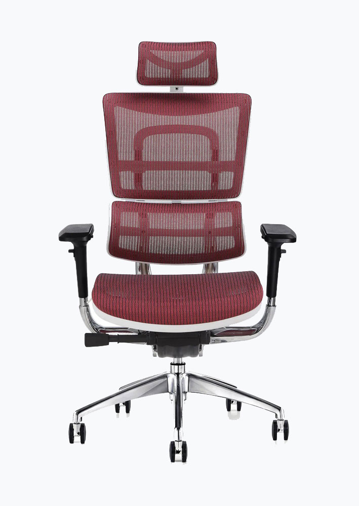 An image of the Ergo-Activ Posture chair