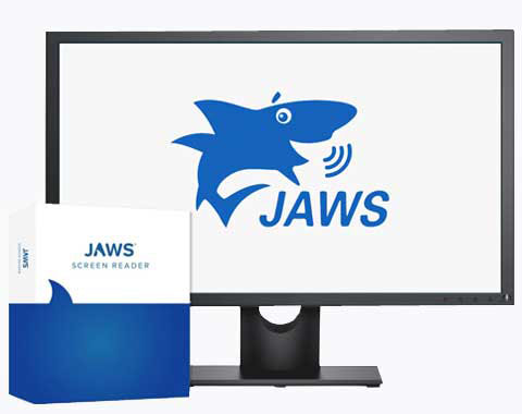 An image of JAWS box PC screen
